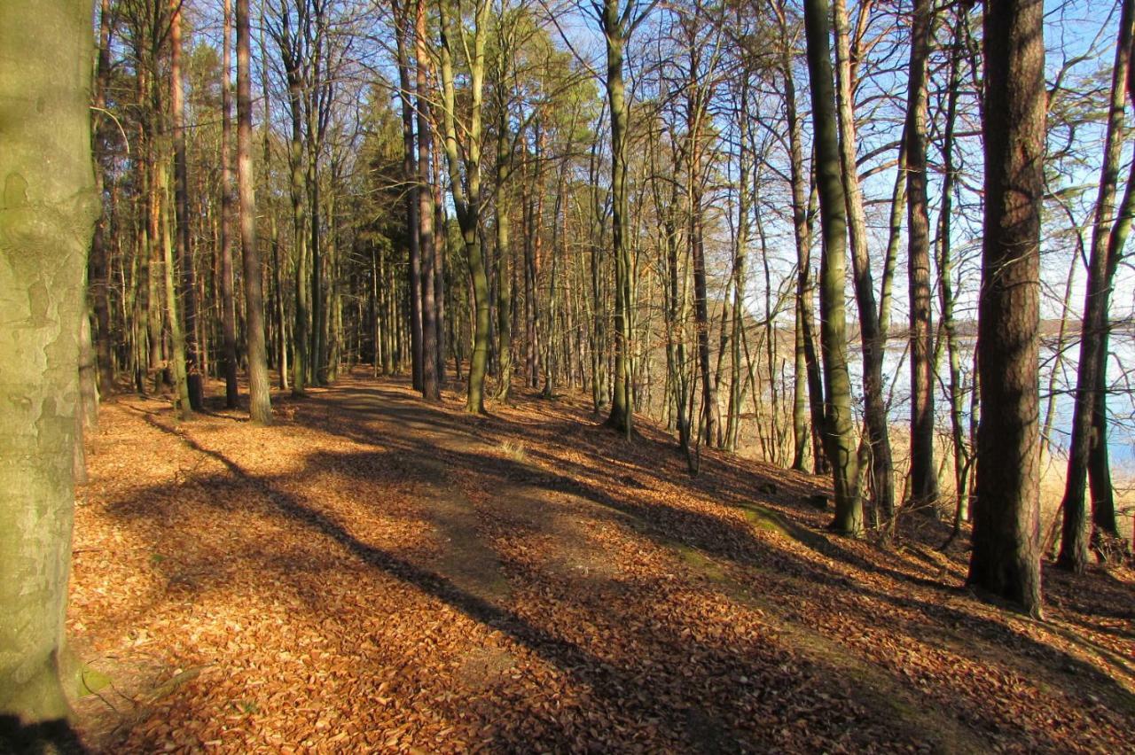 Ferienhaus Mit 2 Fewo In Mecklenburg Appartement Wesenberg Buitenkant foto